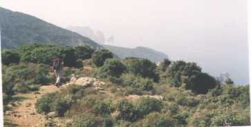 SCANDOLA.JPG (77029 Byte)